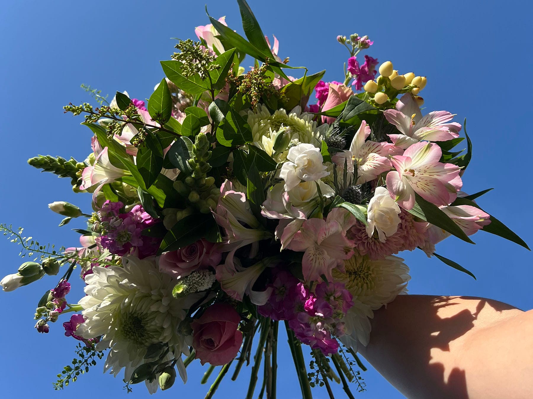 Bouquet of colourful flowers against blue sky.